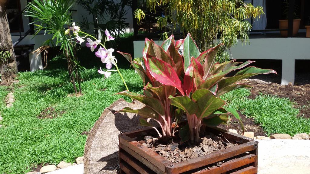 Hotel Lucky Gecko Garden Koh Chang Exterior foto